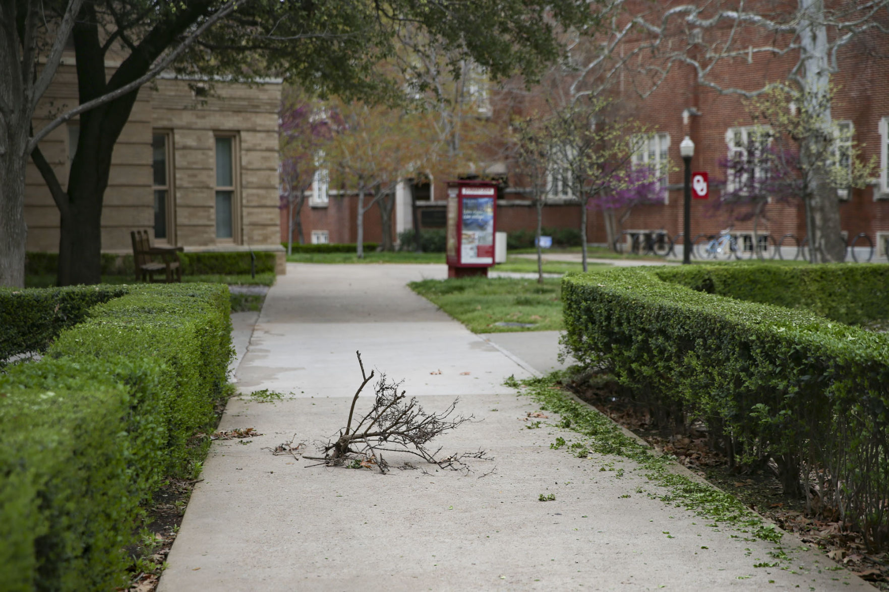 Empty campus